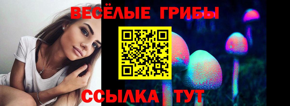 Галлюциногенные грибы GOLDEN TEACHER Зеленодольск